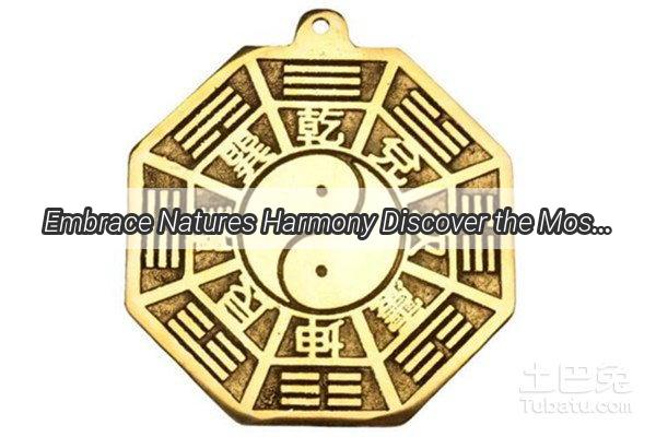 Embrace Natures Harmony Discover the Most Feng ShuiFriendly Scenic Landscapes